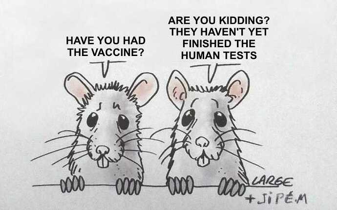 Mice-discuss-human-trials