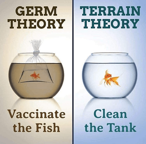 GermTheoryVSTerrainTheory