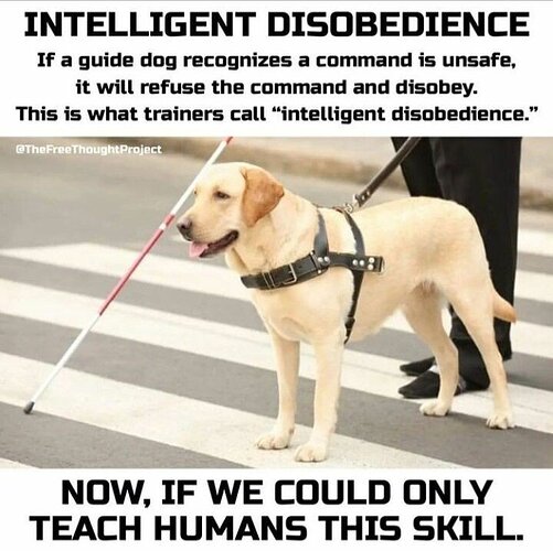 IntelligentDisobedience