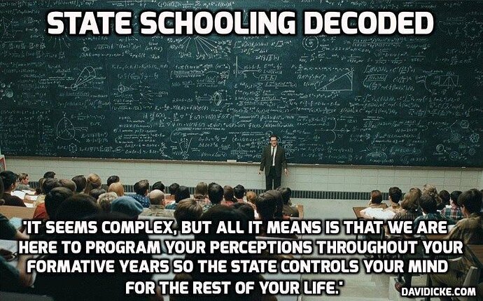 SchoolingDecoded