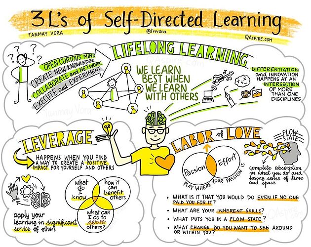 3LsOfSelfDirectedLearning