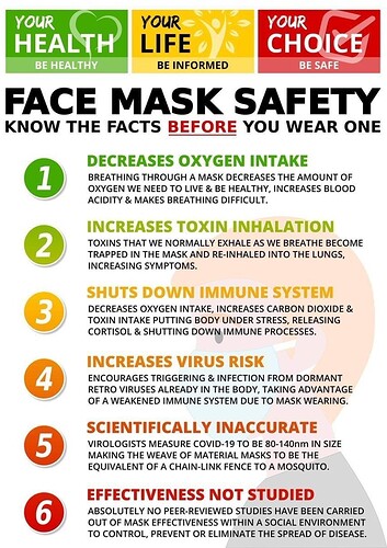 FaceMaskSafety