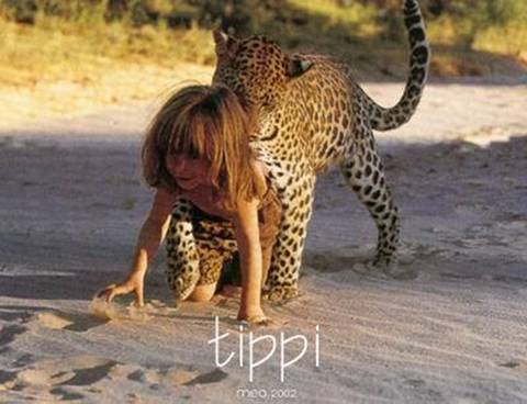 Tippi12